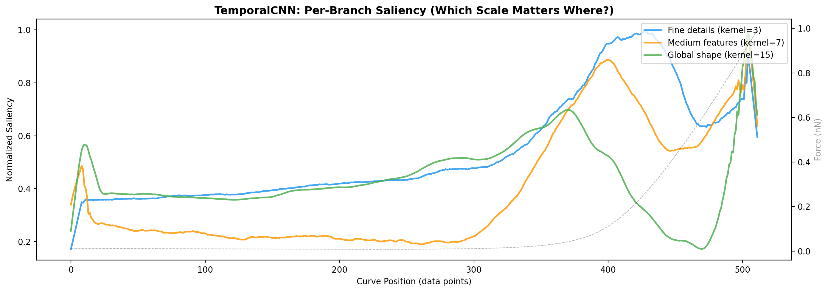 CNN Branch Saliency