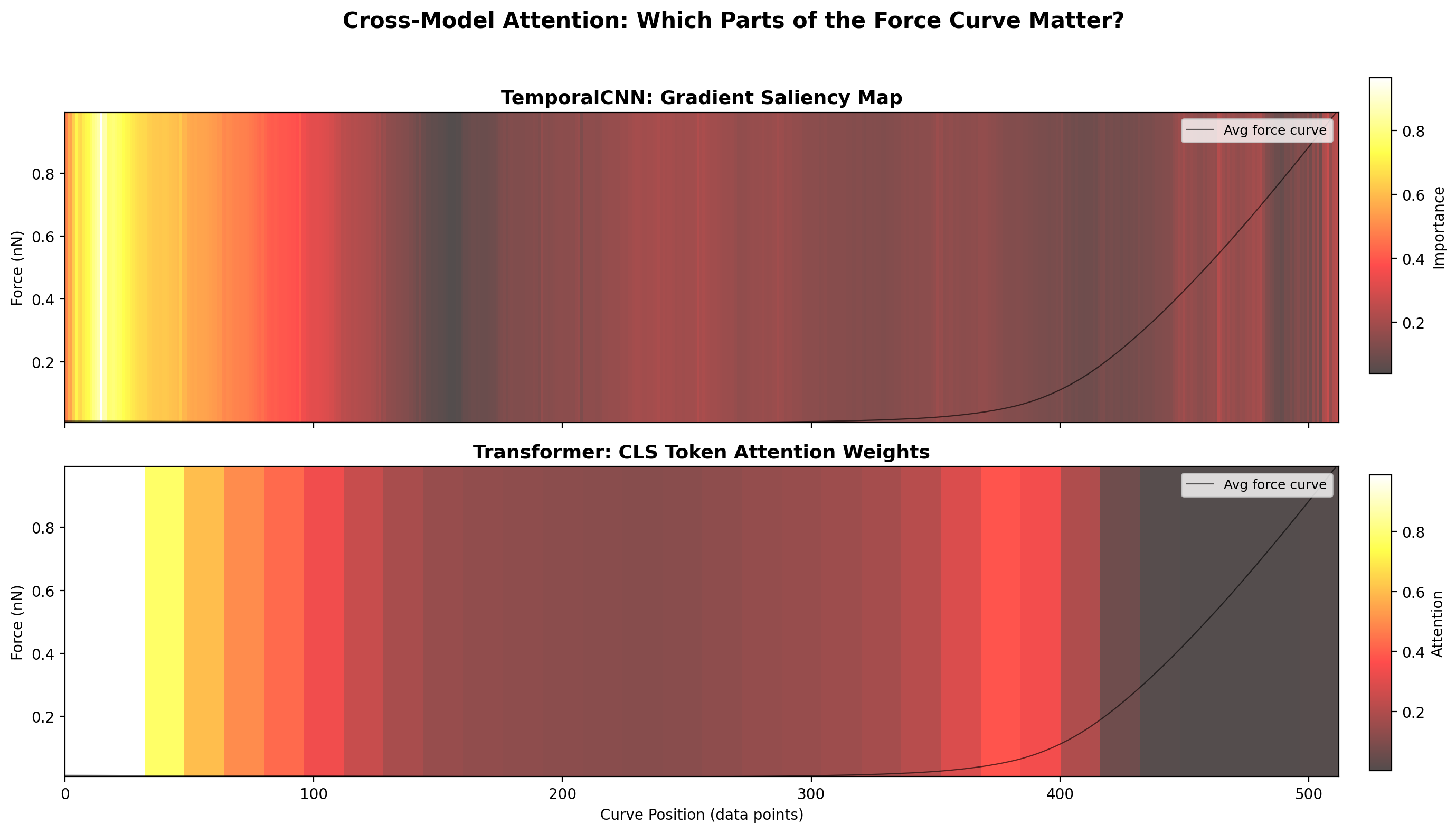 Cross Model Attention